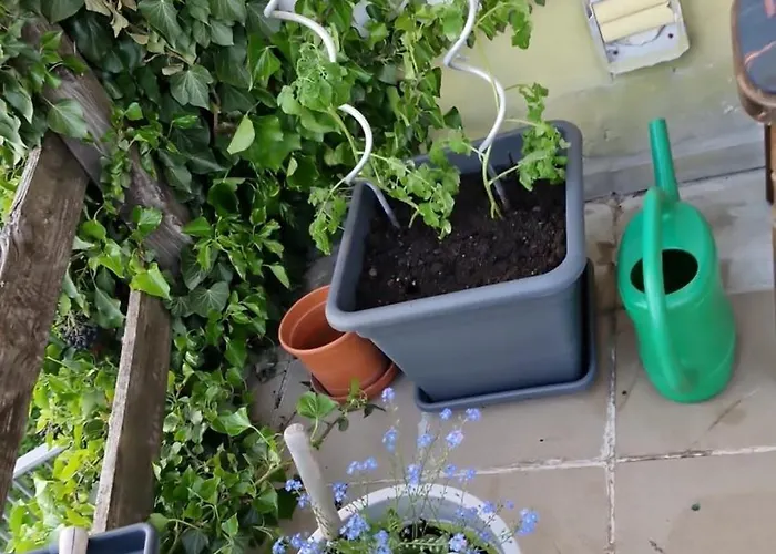 Apartment Relax Pur In Der Ii *