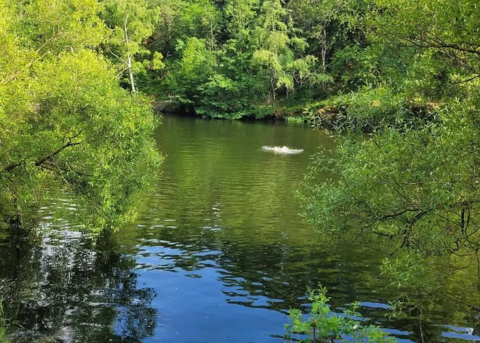 Relax Pur In Der Ii Appartement *